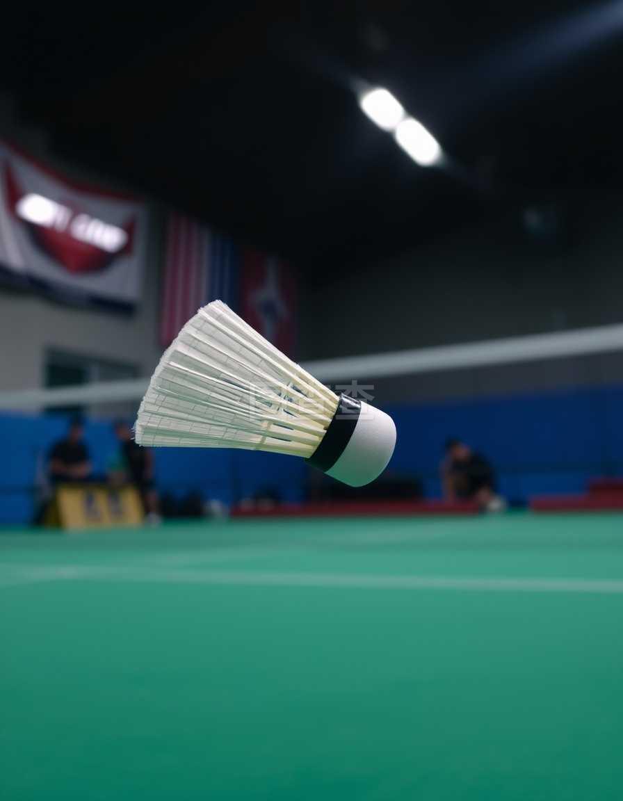 他们用一个 他们用一个