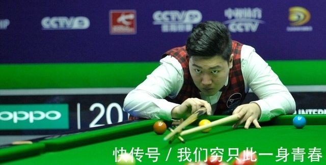 尽管灰熊遗 尽管灰熊遗