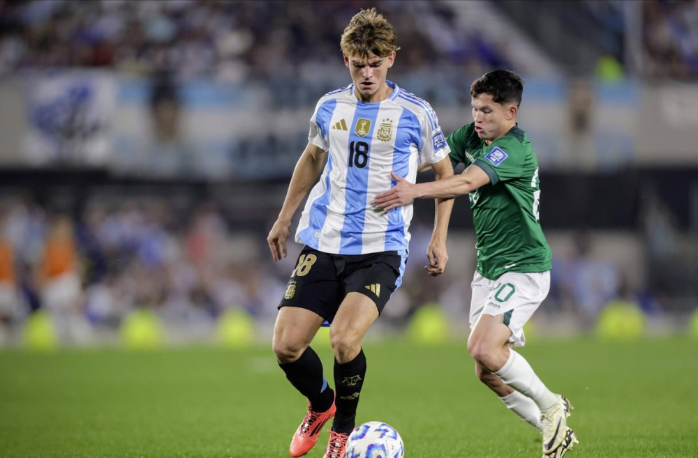 阵容结构 阵容结构