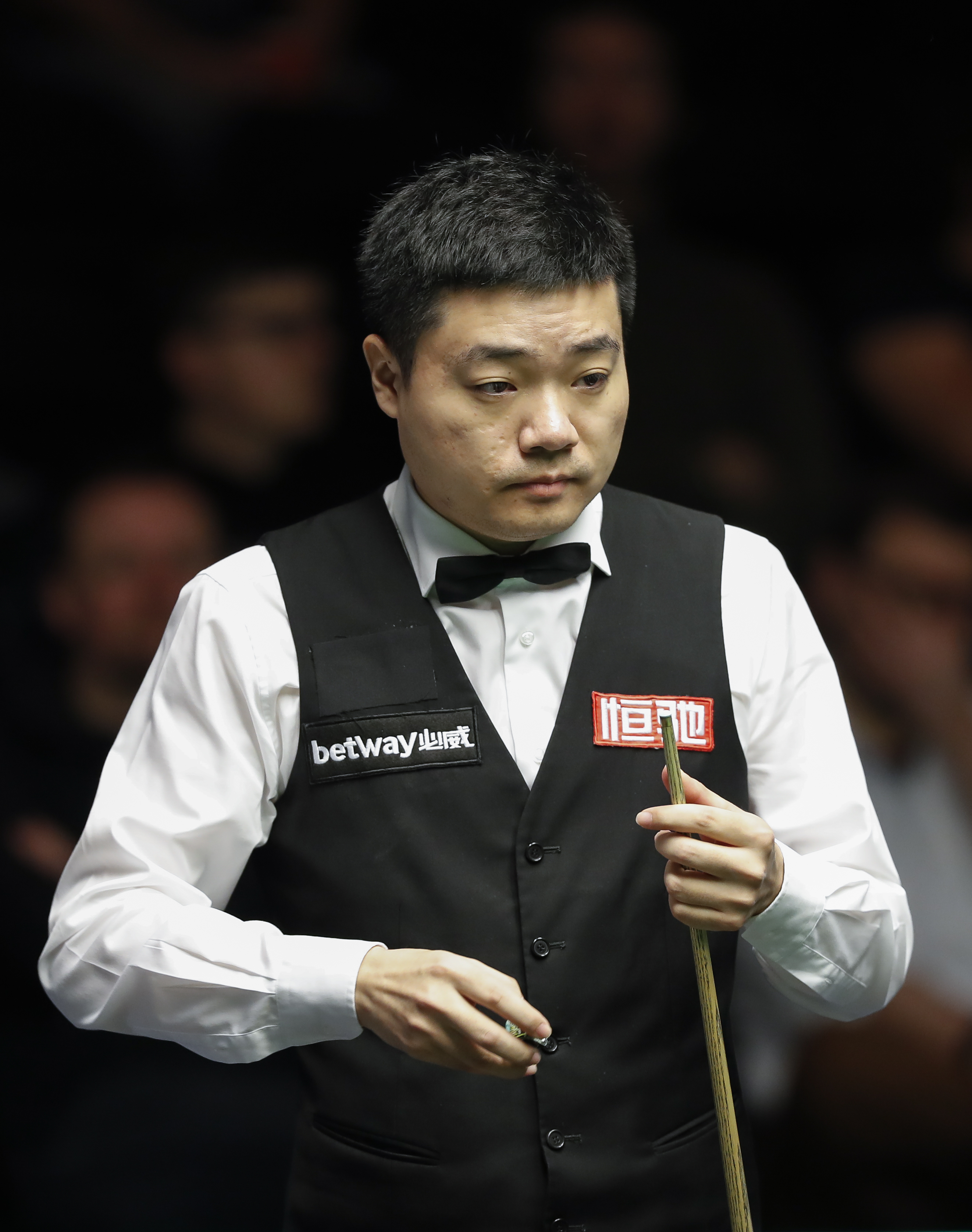 尔滨散发着 尔滨散发着