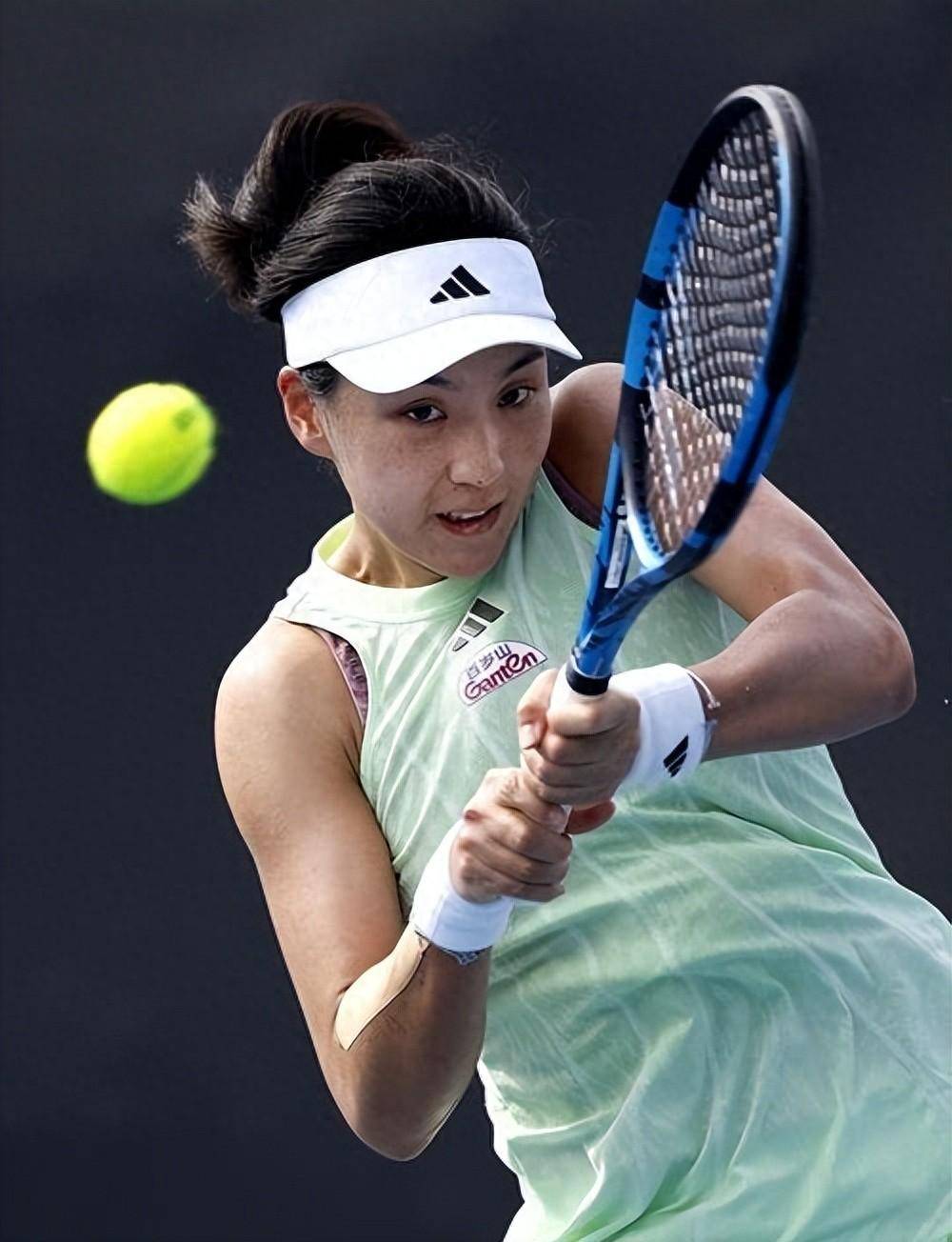 来了期待 来了期待