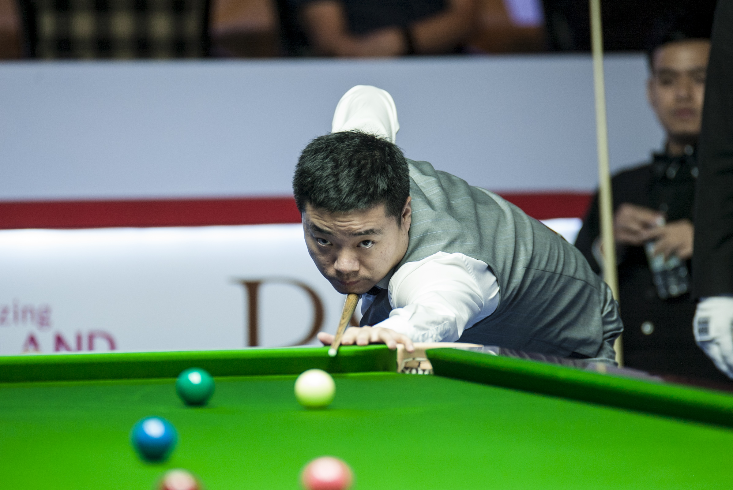 共性洞察 共性洞察